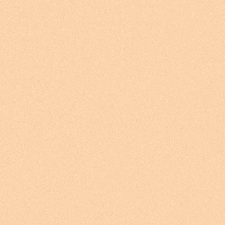 INIKA Organic Full Coverage Concealer - Shell 3.5g INIKA Organic