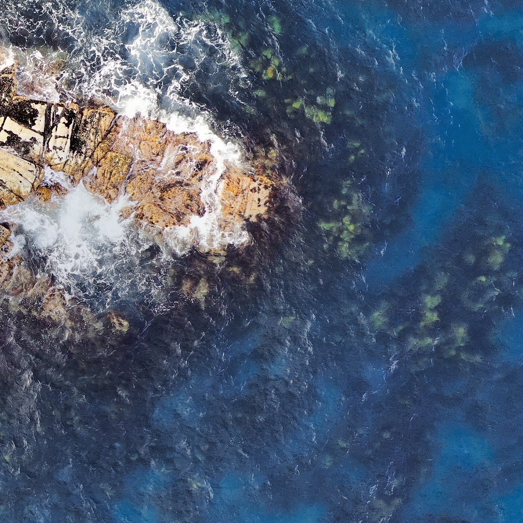 PURITO Hydro Wave Deep Sea Cream (50 ML) Purito