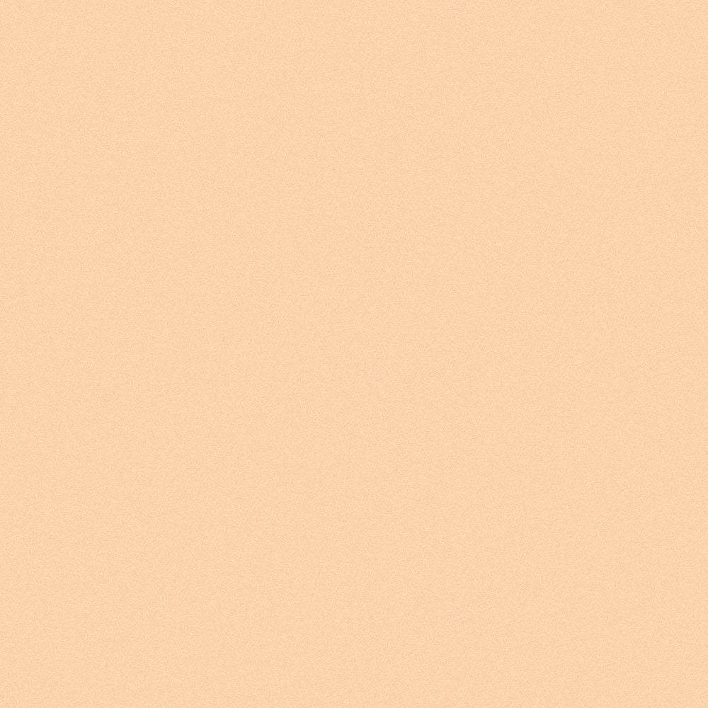 INIKA Organic Full Coverage Concealer - Shell 3.5g INIKA Organic