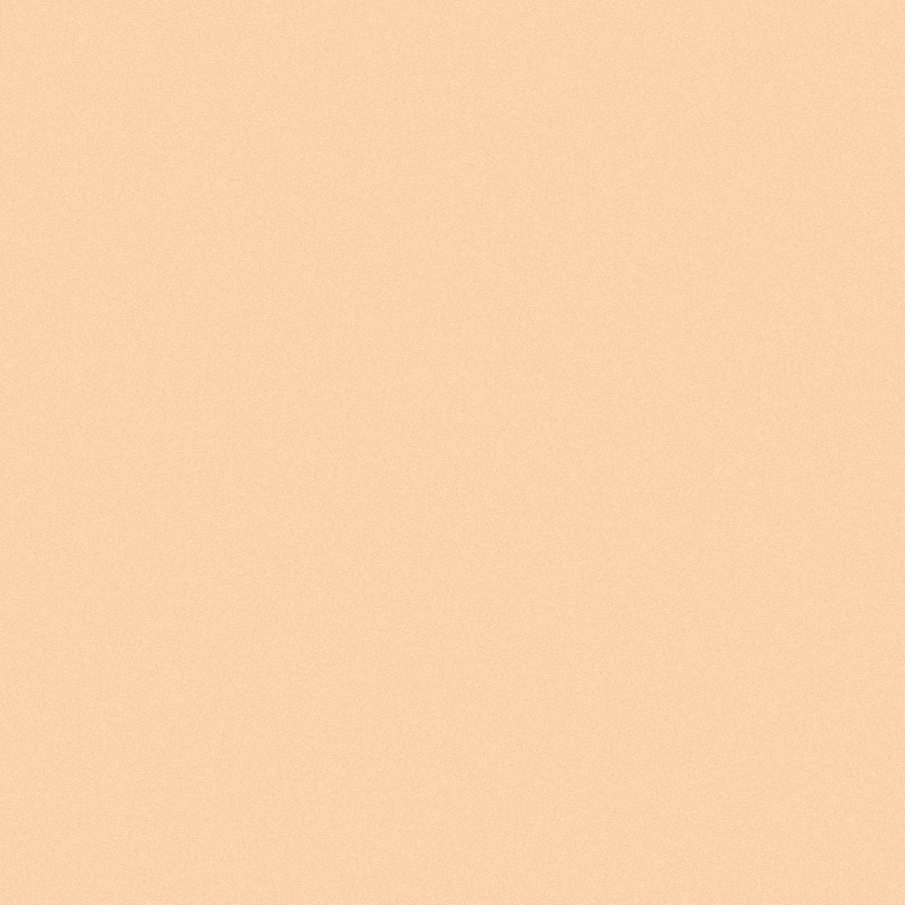 INIKA Organic Full Coverage Concealer - Shell 3.5g