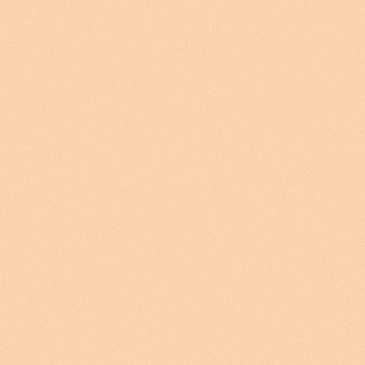 INIKA Organic Full Coverage Concealer - Shell 3.5g