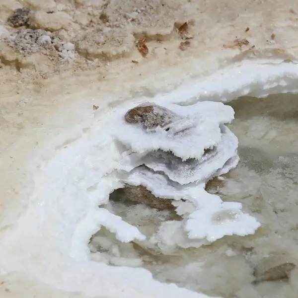 Zarqa Dode Zee Zout (1kg) Zarqa